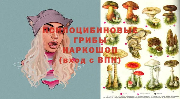 молекула духа Заволжье