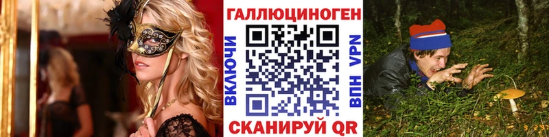 Псилоцибиновые грибы Psilocybe  Щучье 